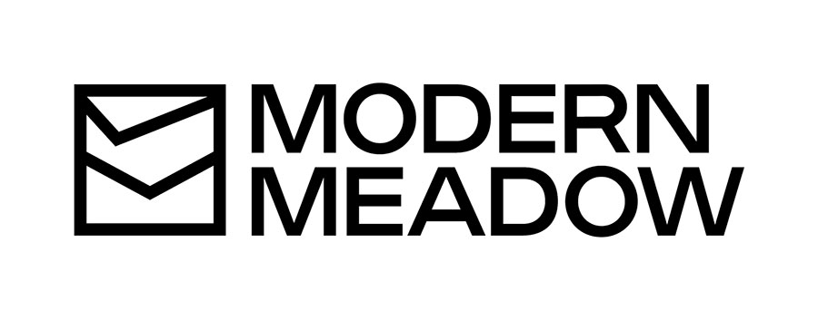 Modern meadow logo