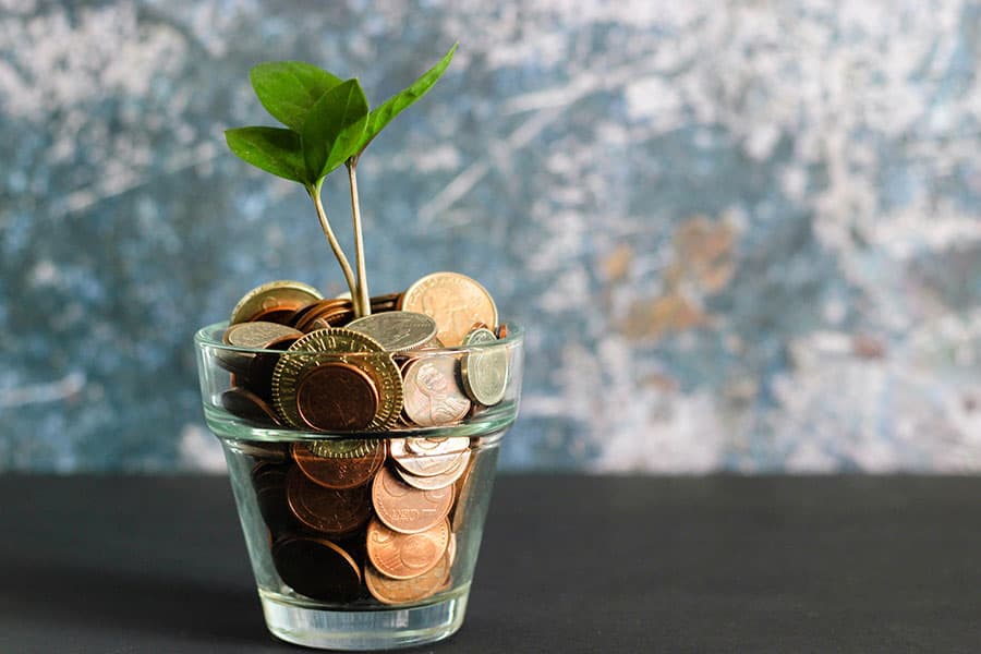 Seedling and money in glass
